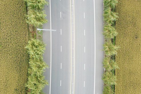 西安展覽策劃公司在產(chǎn)品展覽和營銷方面發(fā)揮著重要作用